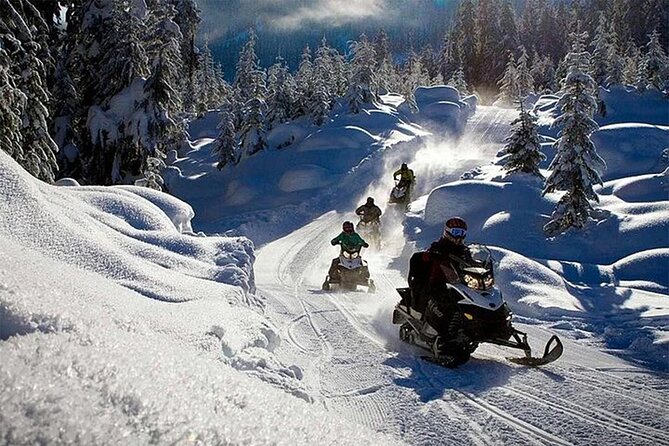 Full Day Snowmobile Safari - Flexibility in Cancellation Policy