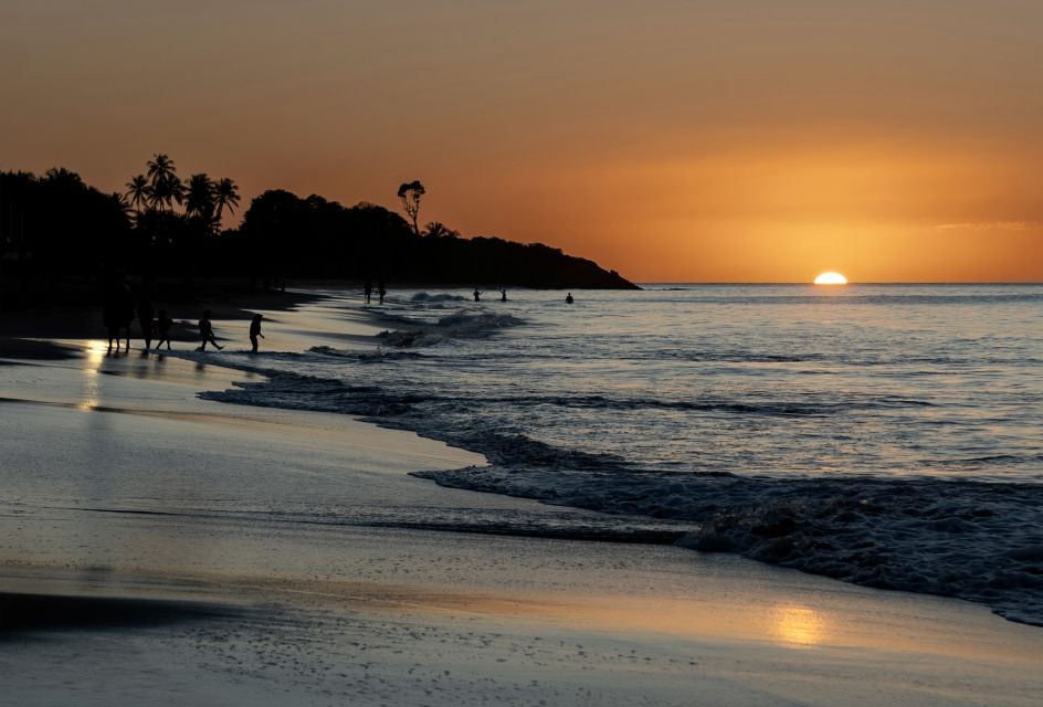 Full Day Tour: the Best of the Island W/Photos Drone Sunset - Swimming With Turtles