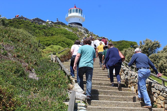 Full-Day Tour to Cape Point and Cape of Good Hope - Booking Information