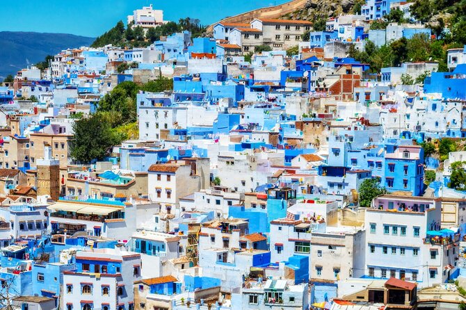 Full Day Trip From Fez to Chefchaouen - Accessibility Information