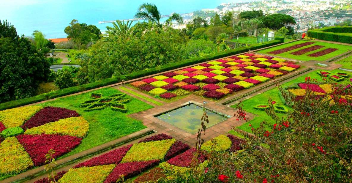 Funchal: Madeira Botanical Garden Private Tuk-Tuk Tour - Detailed Tour Description