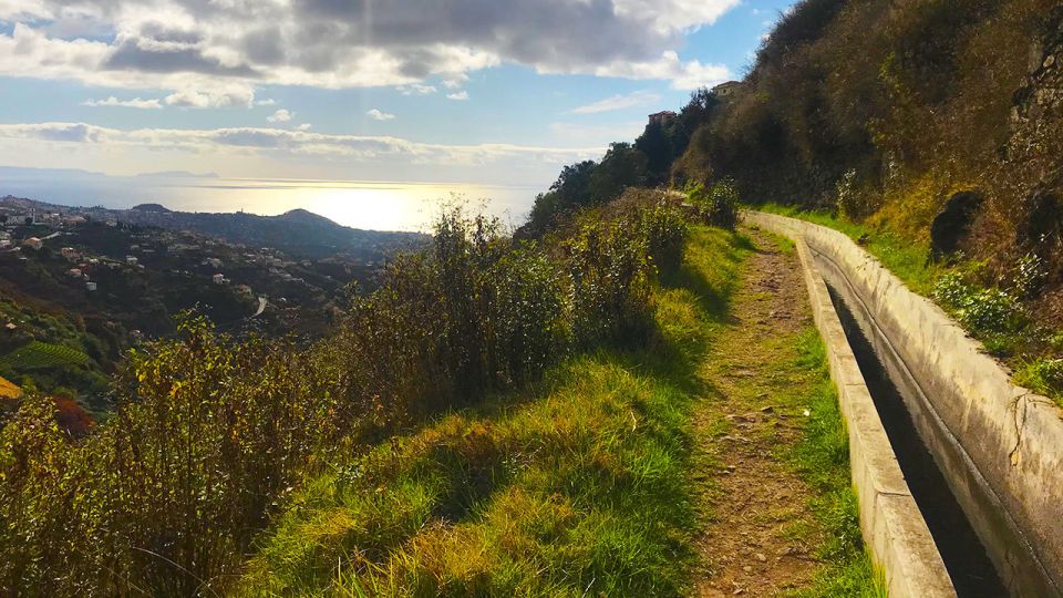 Funchal: Northern Levada Walking Tour - Experience and Activities