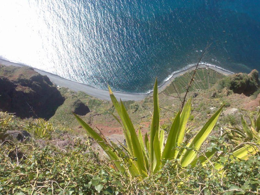 Funchal: Nuns Valley Private Half Day Tour - Experience and Amenities