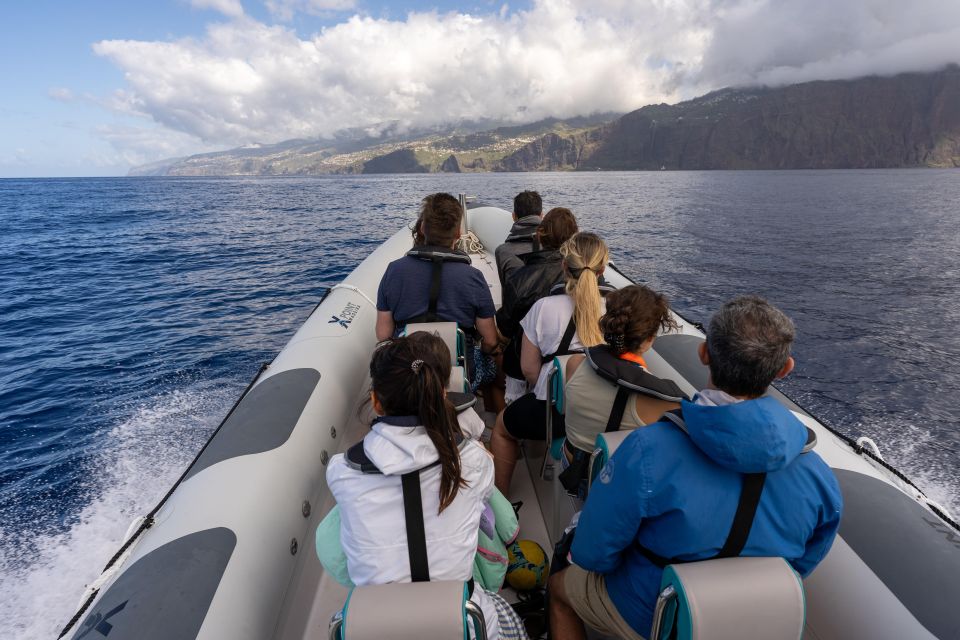 Funchal: Swim With Dolphins / Dolphin&Whale Watching by RIB - Important Information