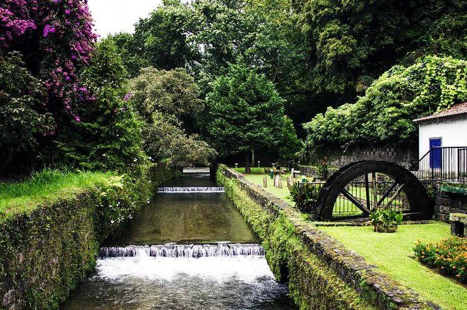 Furnas and Terra Nostra Botanic Park Guided Tour W/ Hotsprings - Marine Life Cruise