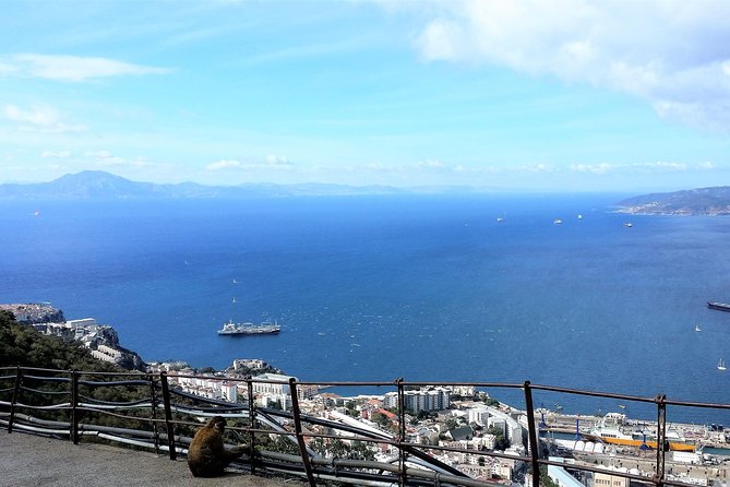 Gibraltar Private Trip From Marbella or Malaga - Exploring Local Shops and Attractions