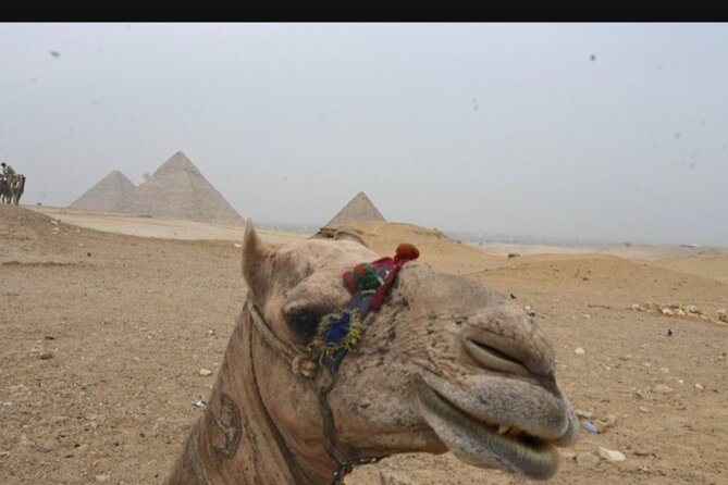 Giza Pyramids All Inclusive Lunch,Entrance Fees,30min Camel Ride - Tour Reviews