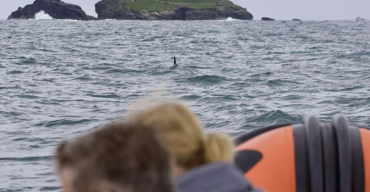 Godrevy to Hells Mouth Boat Trip - Inclusions and Provisions