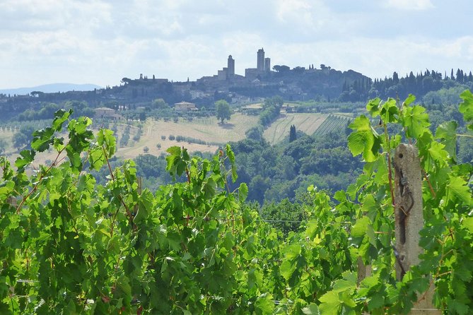 Gourmet Wine Tour San Gimignano Wine Tasting - San Quirico Winery - Cancellation and Refund Policy