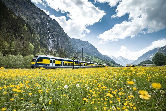 Grindelwald First - Top of Adventure From Zurich - Transportation and Accessibility