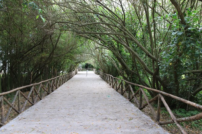 Group Guided Tour of the Archaeological Park of Neapolis - Traveler Feedback