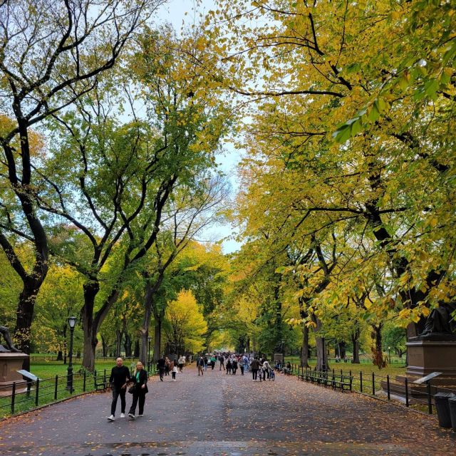 Guided Express Pedicab Tour in Central Park - Tour Inclusions