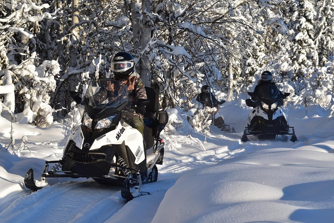 Guided Fairbanks Snowmobile Tour - Snowmobile Experience