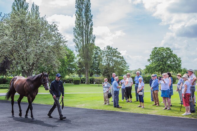 Guided Half Day Behind the Scenes Newmarket Tour - Newmarkets History and Royals