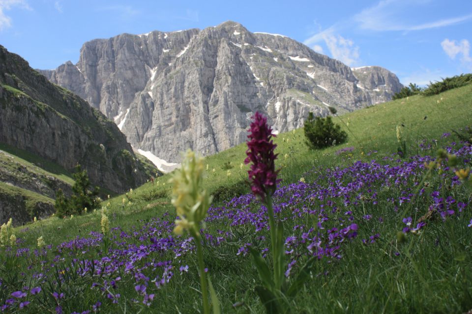 Guided Hiking Tour to the Dragon Lake of Mountain Tymfi - Hiking Highlights