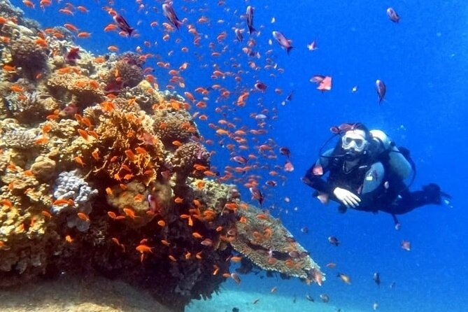 Guided Scuba Diving Adventure in Aqaba - Physical Fitness Requirements