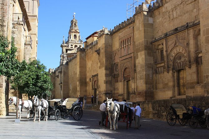 Guided Tour: Discover the 2 Great Monuments in Córdoba: Mosque and Alcázar. - Traveler Capacity