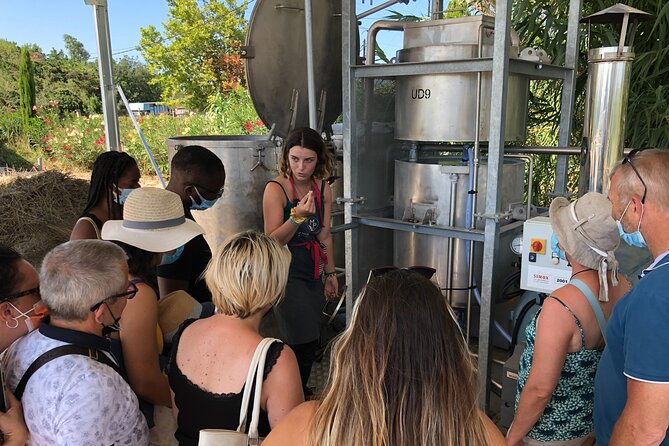 Guided Tour of Lavender Distillery Between Provence & Camargue - Journey Through Aromatic Plantations