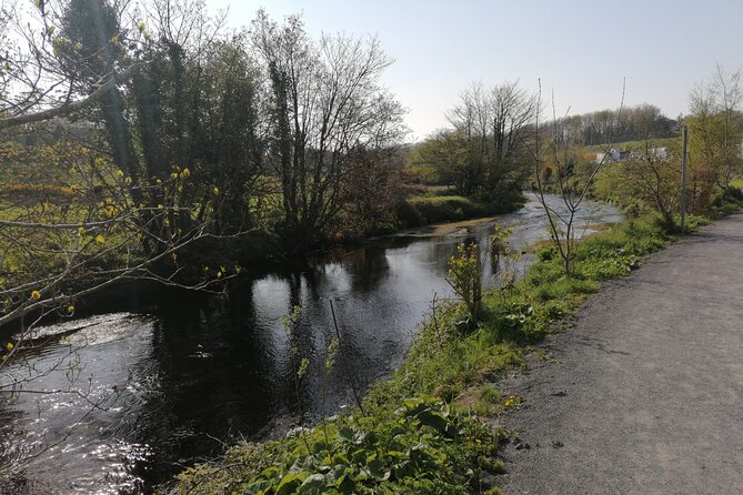 Guided Walking Tour in Stunning County Waterford Ireland - Highlights of the Tour