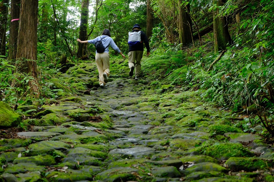 Hakone Hachiri: Old Tokaido Highway Hiking Tour - Frequently Asked Questions