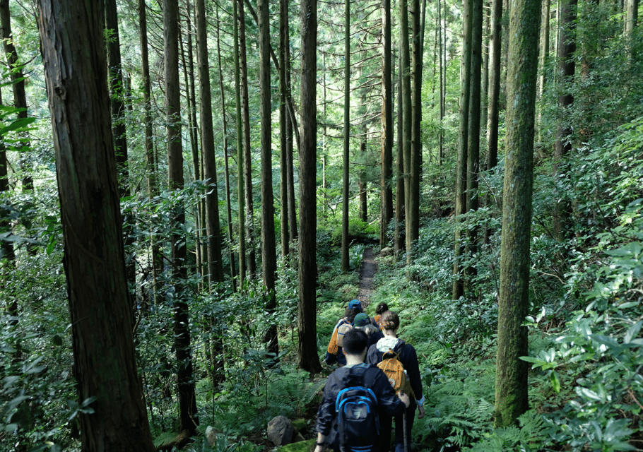 Hakone Hachiri: Old Tokaido Highway Hiking Tour - Traditional Japanese Refreshment