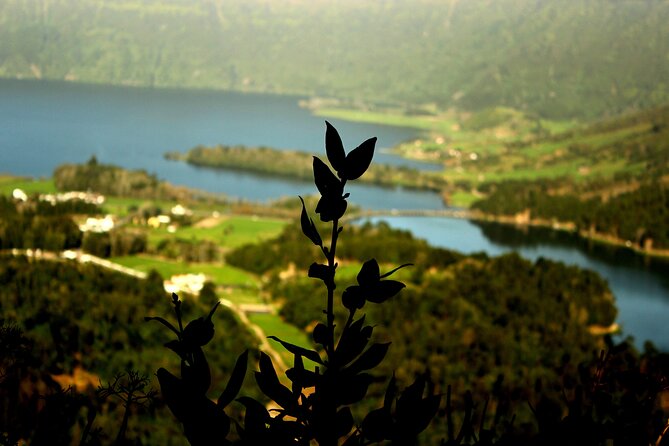 Half-Day 4x4 Tour to Lagoa Das Sete Cidades - Cancellation Policy