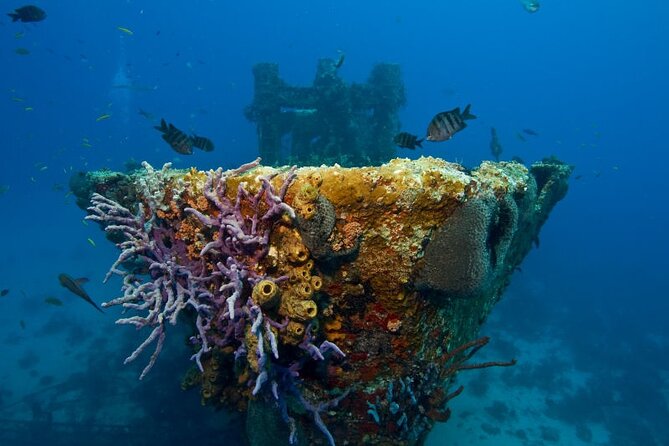 Half-Day Aruba Intro Diving Course for Beginners - Suitability and Accessibility