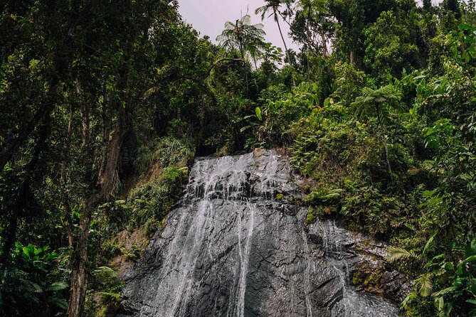 Half-Day El Yunque National Forest Tour From San Juan - Panoramic Vistas