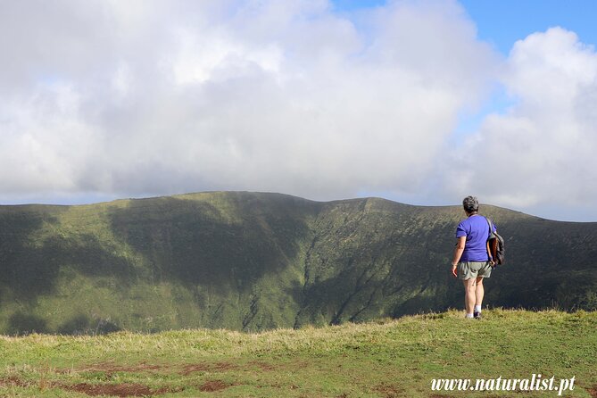 Half Day Faial Island Tour -Local Biologist - Visiting Protected Areas