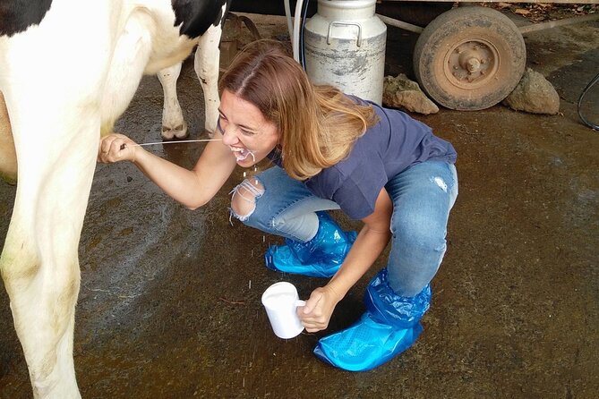 Half-Day Farm Visit and Cow Milking Experience - Additional Information