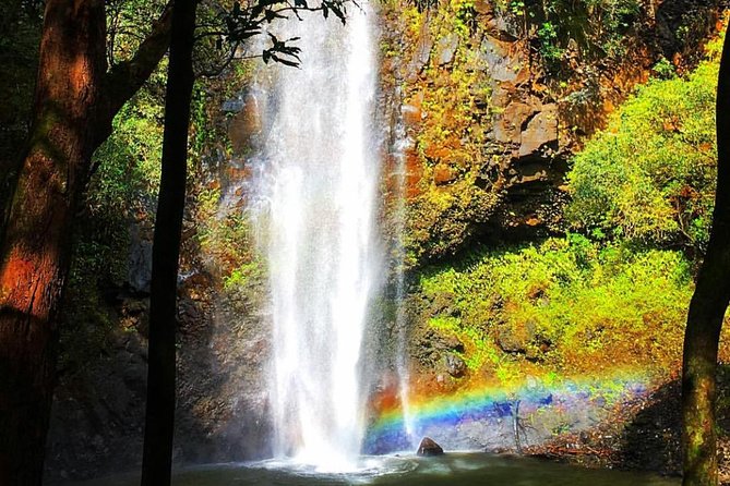 Half-Day Kayak and Waterfall Hike Tour in Kauai With Lunch - Traveler Restrictions