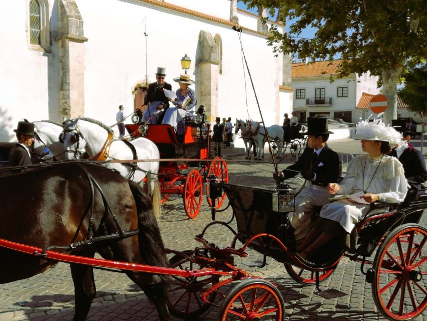 Half-Day Lusitanian Horses & Photography Museum Private Tour - Highlights