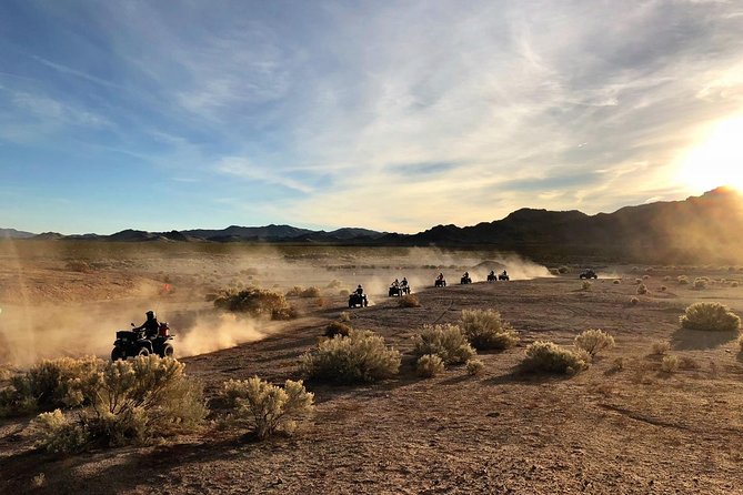 Half-Day Mojave Desert ATV Tour From Las Vegas - Customer Reviews and Feedback