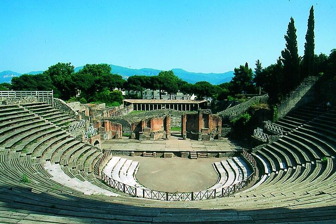 Half Day Morning Tour of Pompeii From Sorrento - Booking Information