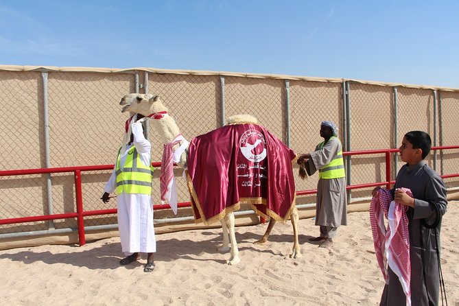 Half-Day Private Guided Camel Race Tour in Qatar - Tour Scheduling