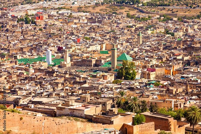 Half-Day Private Guided Walking Tour Of Fez Medina - Pricing and Group Size