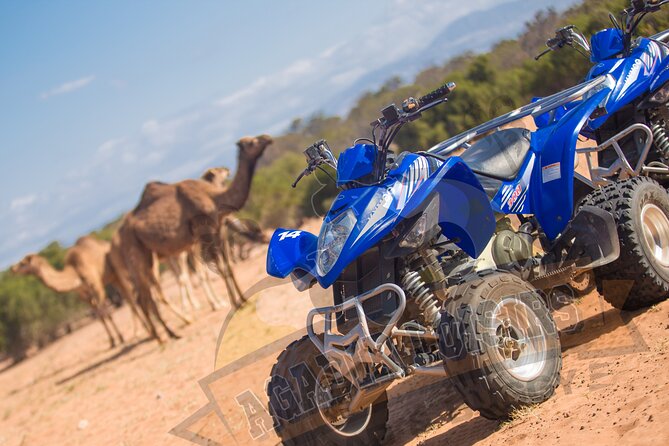 Half-Day QUAD in Agadir + Pick-Up Included From Agadir - Booking and Confirmation