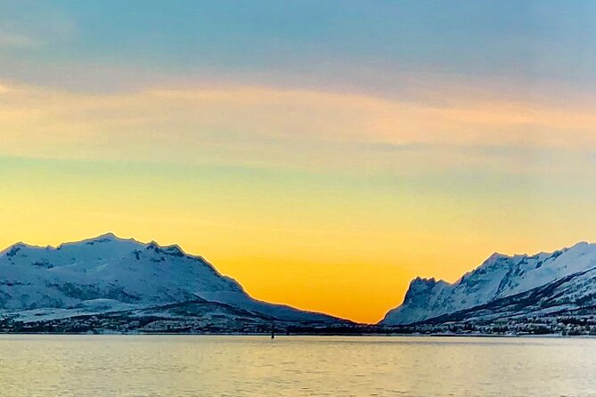 Half-Day Scenic Wildlife & Photographic Fjord Tour. - Additional Information