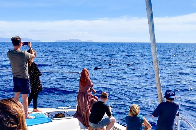 Half Day Tour on a Luxury Catamaran on Madeira Island - Booking Confirmation and Policies