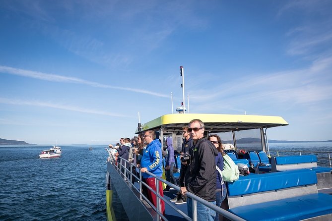 Half-Day Whale Watching Adventure From Vancouver - Educational Experiences on Board