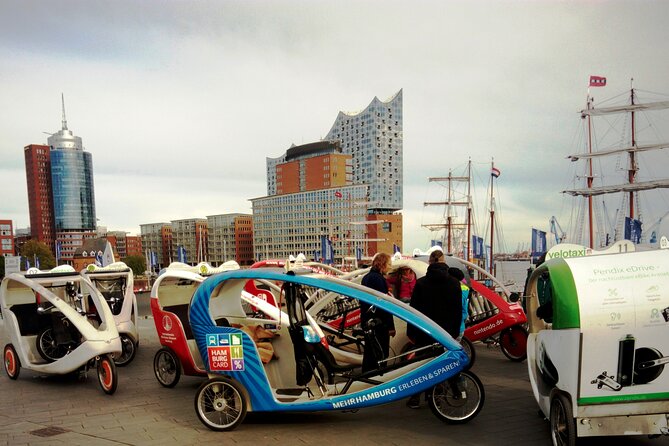 Hamburg: All About the Elbphilharmonie - a City Tour for the Whole Family - Accessibility and Group Size