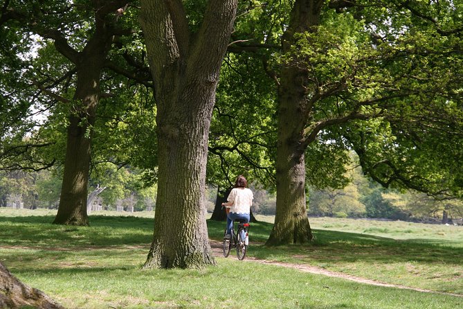 Hampton Court Palace Grounds Bike Tour - Tour Highlights