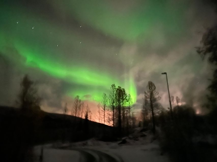 Harstad/Narvik/Tjeldsund: Northern Lights Sightseeing by Car - Witnessing the Captivating Northern Lights