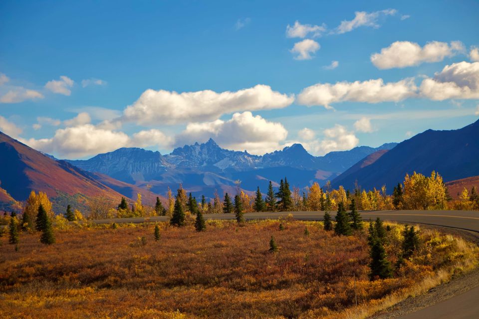 Healy: Denali National Park Self-Guided Jeep Adventure - Denali Park Entrance Considerations