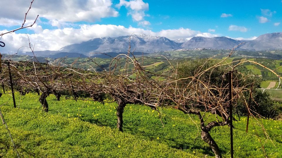 Heraklion: Cretan Wine Tasting Tour & Gourmet Lunch - Gourmet Lunch Experience