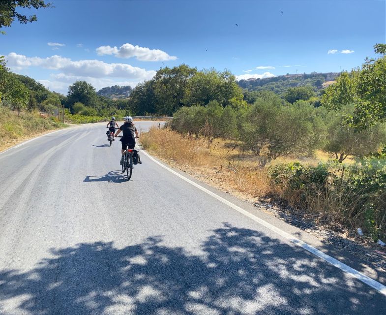 Heraklion: Wine Tasting E-Bike Tour - Exploring Cretes Vineyards