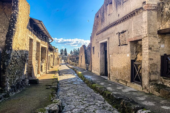 Herculaneum 3D Skip the Line Walking Tour - Augmented Reality Technology