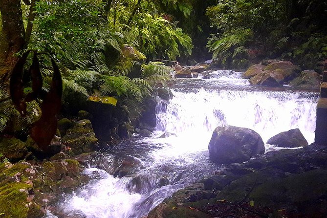 Hidden Corners: Levada Walk From Funchal - Preparation Essentials