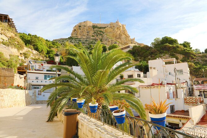 Highlights & Hidden Gems With Locals: Best of Alicante Private Tour - Meeting Point