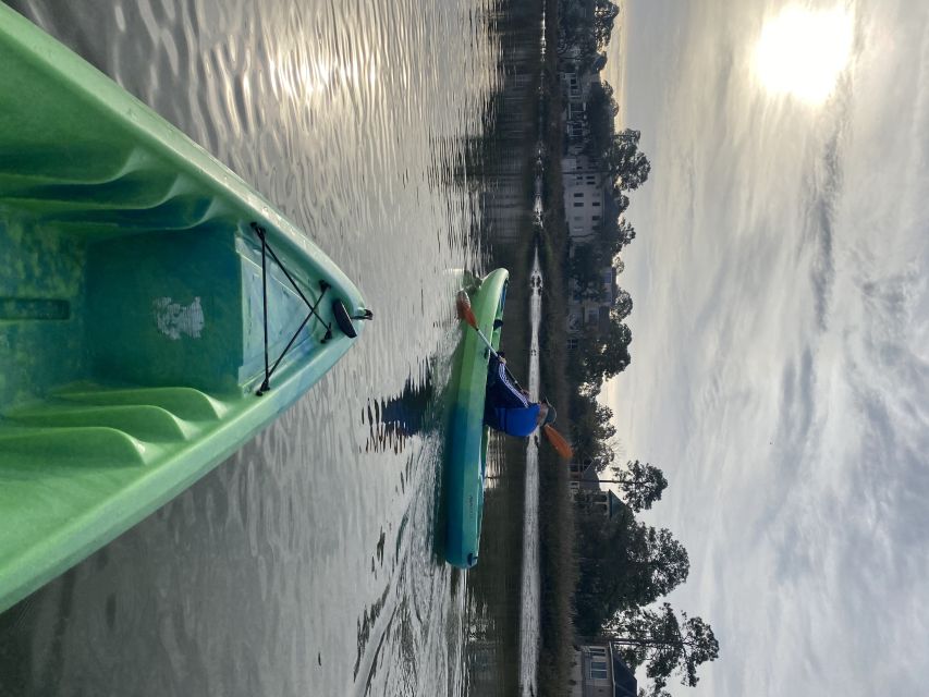 Hilton Head Island: Guided Kayak Tour With Coffee - Observed Marine Life